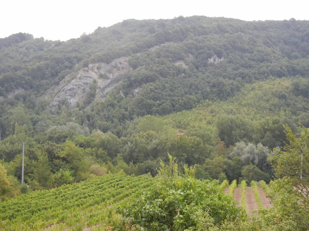 La Colombarola Agriturismo Farneto Exteriör bild
