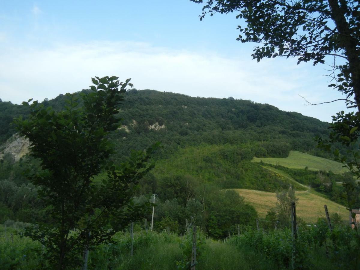 La Colombarola Agriturismo Farneto Exteriör bild