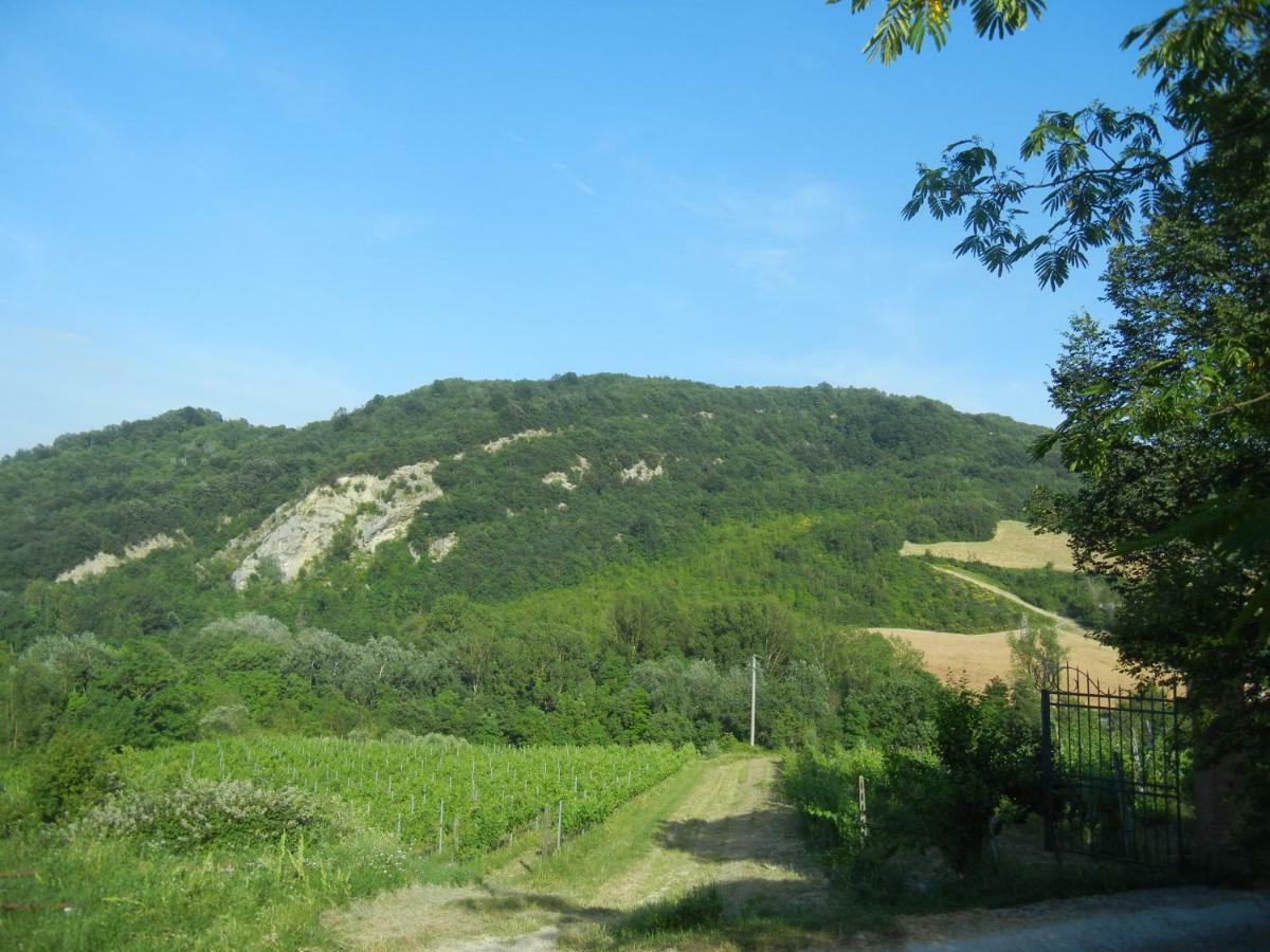 La Colombarola Agriturismo Farneto Exteriör bild